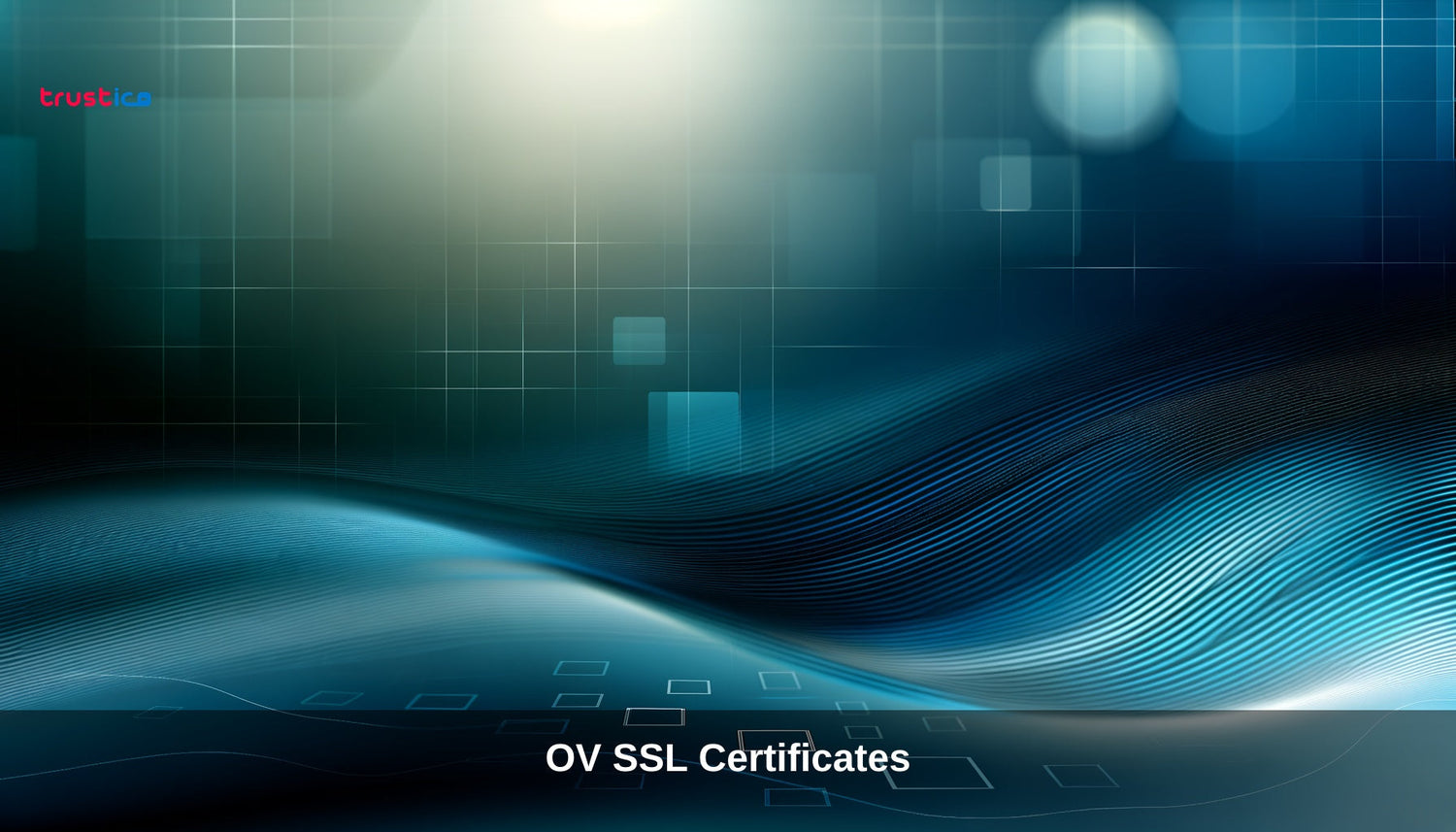 Abstract digital background with blue and teal wavy lines, squares, and glowing light effects. OV SSL Certificates is written at the bottom, with trustica in the top left corner.